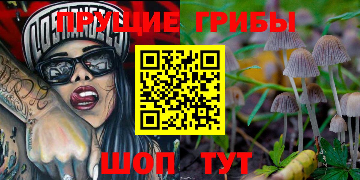 Галлюциногенные грибы Magic Shrooms Петрозаводск