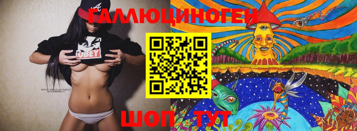 Псилоцибиновые грибы Psilocybe  Вход с VPN  Петрозаводск 